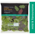 Sainsbury's Mixed Baby Kales 80g