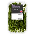 Sainsbury's Samphire & Sea Vegetables 80g