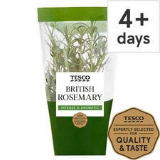 Tesco Medium Pot Rosemary Each