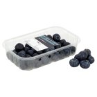 Sainsbury's Extra Large Blueberries 200g