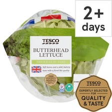 Tesco Butterhead Lettuce