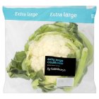 Sainsbury's Cauliflower, Extra Large