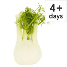 Tesco Fennel Each