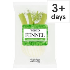 Tesco Fennel 250G