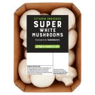 Sainsbury's White Super Mushrooms 300g