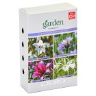 Sainsbury's Garden Bulbs Blue & White Garden x30