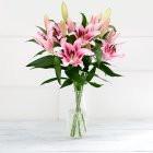 Mixed Oriental Lilies