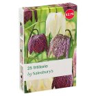 Sainsbury's Fritillaria Bulbs x25