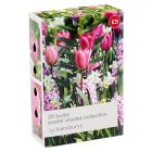 Sainsbury's Pastel Shades Collection Bulbs x20