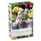 Sainsbury's Fruit Salad Shades Collection Bulbs x40