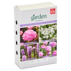 Sainsbury's Garden Bulbs Butterfly Love x30