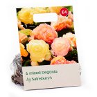 Sainsbury's Begonia Double Bulbs