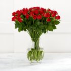 Sainsbury's Red Sweetheart Roses x50