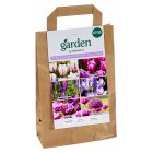 Sainsbury's Garden Bulbs Purple Passion Collection x30