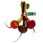 So Rainbow Bunched Beetroot, Organic