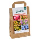 Sainsbury's Garden Bulbs Vibrant Bulb Collection x50