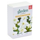 Sainsbury's Garden Narcissi Tresamble x10