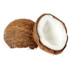 Sainsbury's Coconut Single