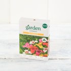 Sainsbury's Garden Tigridia x20