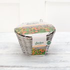 Sainsbury's Garden Nasturtium Hanging Basket