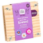 Sainsbury's Grow & Press Your Own Flowers