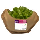 Sainsbury's Salanova Lettuce, Taste the Difference