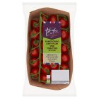 Sainsbury's Pomodorino On The Vine Tomatoes, Taste the Difference 250g