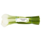 Sainsbury's Salad Onions, Large 130g