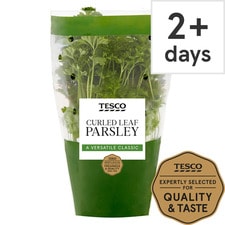 Tesco Curled Parsley Medium Pot