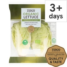 Tesco Organic Lettuce