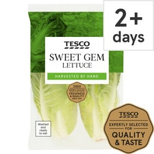 Tesco Sweet Gem Lettuce