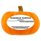 Sainsbury's Munchkin Pumpkin