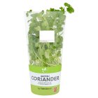 Sainsbury's Fresh Living Coriander Pot