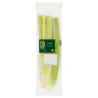 Sainsbury's Celery, SO Organic