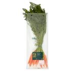 Sainsbury's Bunched Carrots, SO Organic 400g