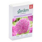 Sainsbury's Garden Allium Purple Sensation x8