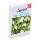 Sainsbury's Garden Snowdrops x15