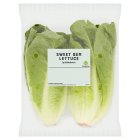 Sainsbury's Sweet Gem Lettuce x2