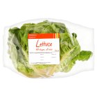 Sainsbury's Lettuce, Basics