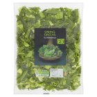 Sainsbury's Ready Prepared Spring Greens 200g