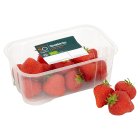 Sainsbury's Strawberries, SO Organic 300g