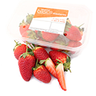 Sainsbury's Strawberries, Basics 250g