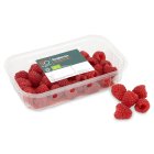 Sainsbury's Raspberries, SO Organic 125g
