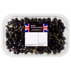 Sainsbury's Blackcurrants 150g