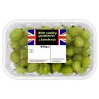 Sainsbury's British Cooking Gooseberries 400g