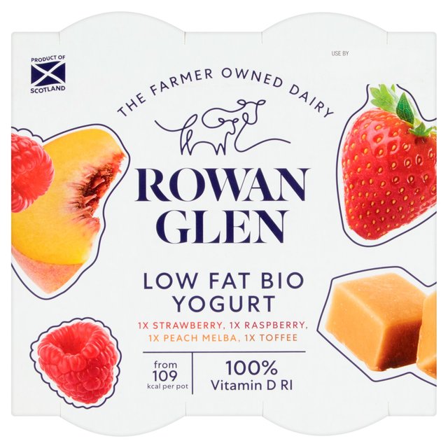 Rowan Glen Low Fat Yogurt Assortment 4 x 125g