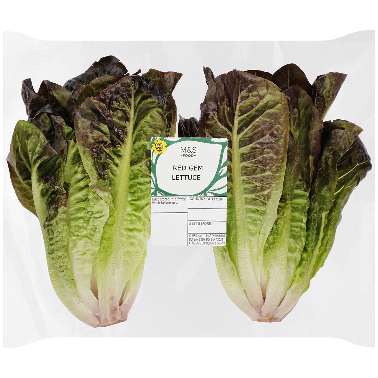 M&S Select Farms Red Gem Lettuce