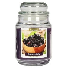 OHS Blackberry Cedar Scented Large Wax Glass Jar Candle, 510g - Purple