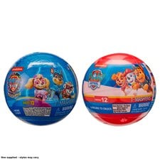 Paw Patrol Mashems