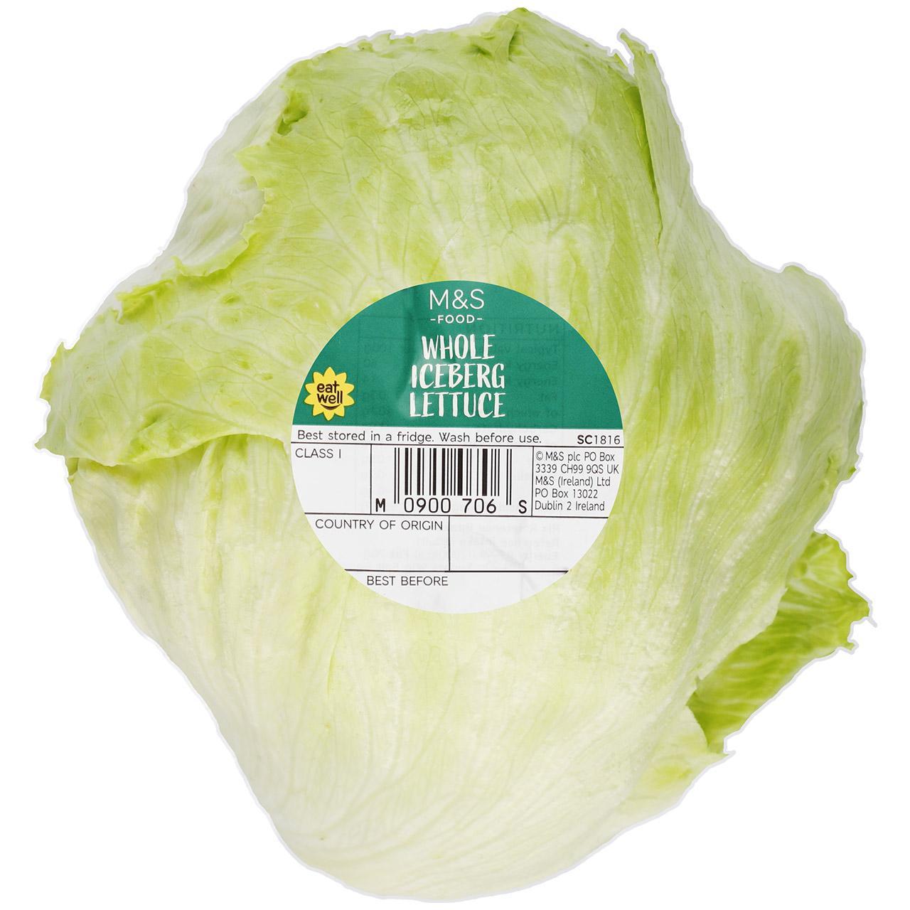 M&S Iceberg Lettuce